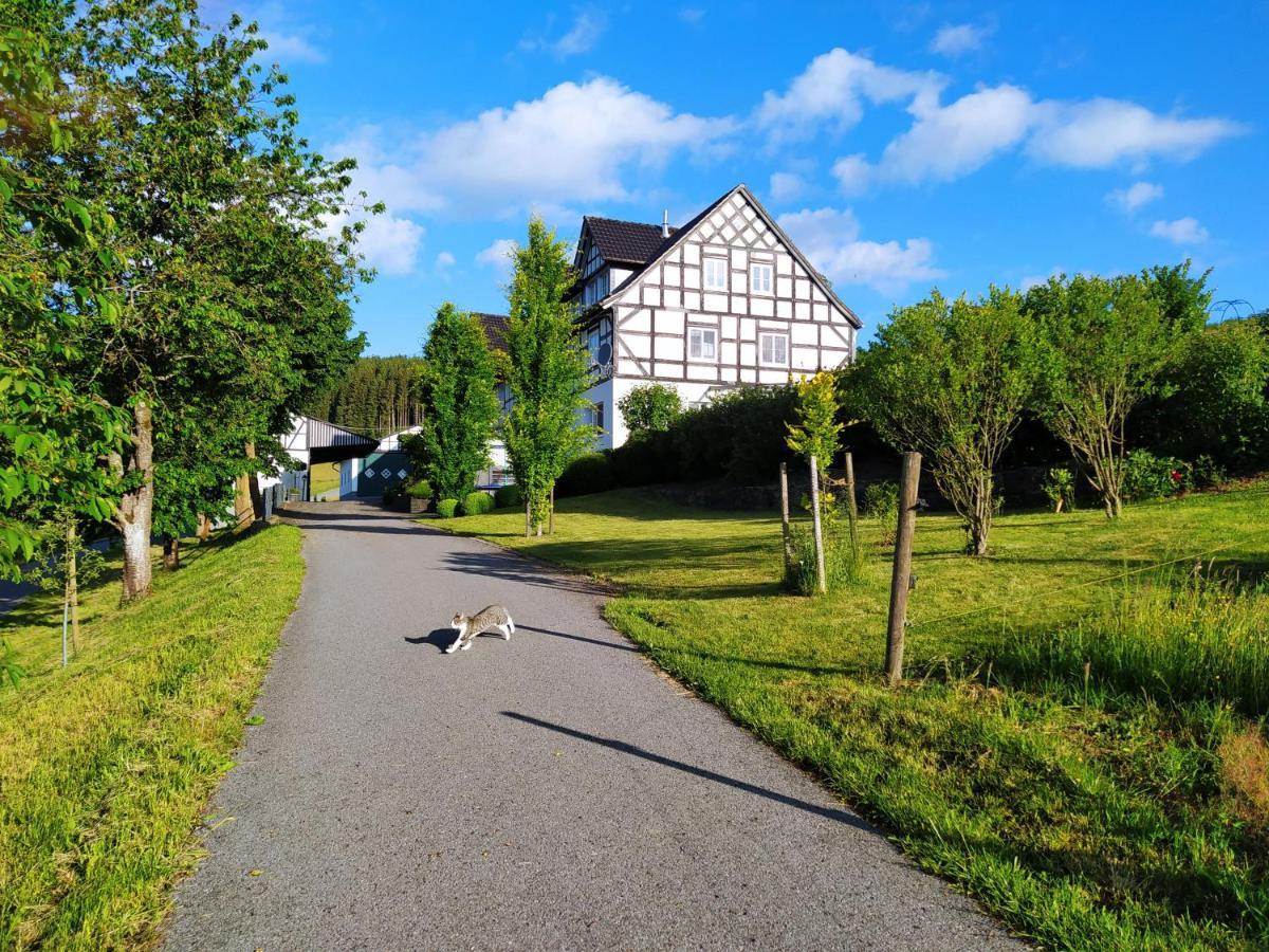 Kleine Auszeit Apartment Eslohe Bagian luar foto