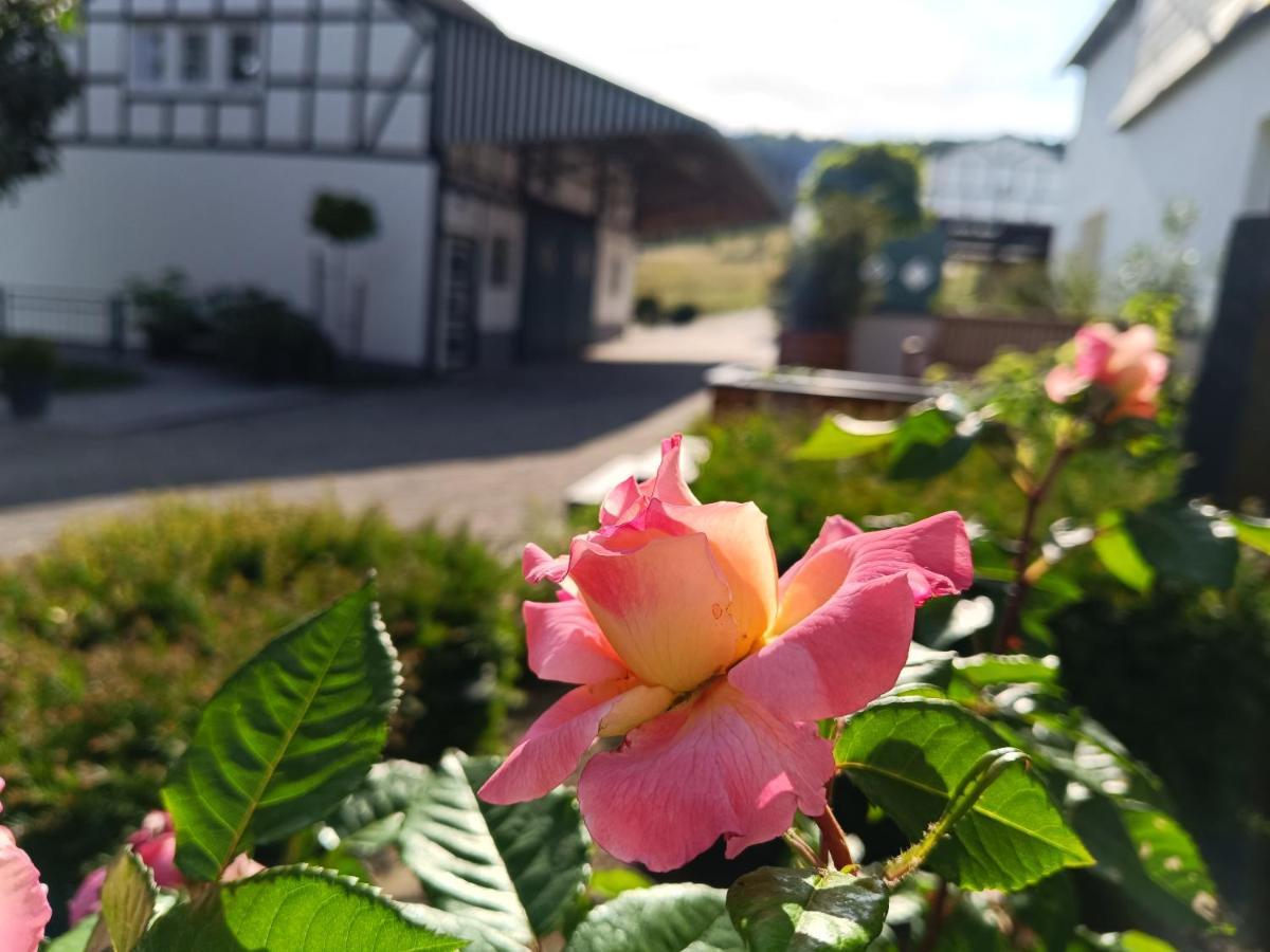 Kleine Auszeit Apartment Eslohe Bagian luar foto